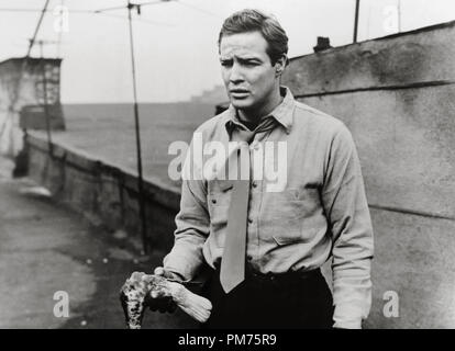 Marlon Brando, "On the Waterfront", 1954 Columbia Riferimento File # 30928 713THA Foto Stock