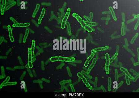 Streptococcus pneumoniae cellule verdi su sfondo scuro Foto Stock