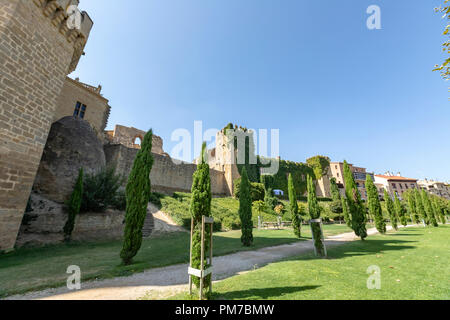 Pareti del Palacio Real, il Palazzo dei Re di Navarra di Olite, e il Parador nel Palazzo Vecchio, Navarra, Spagna Foto Stock