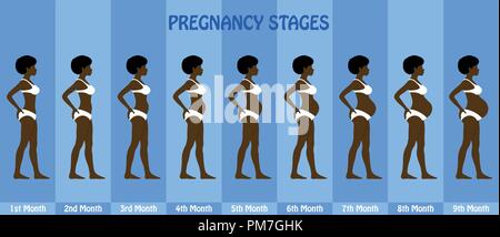 Di mese in mese gravidanza fasi della gravidanza della donna afro con bikini. Tutti gli oggetti e gli stadi del corpo sono in diversi strati e i tipi di testo non Illustrazione Vettoriale