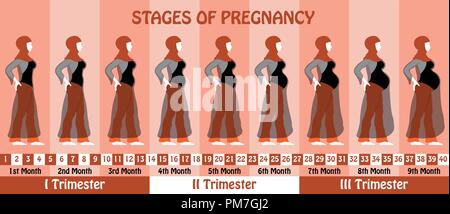 Gravidanza fasi della gravidanza della donna musulmana con il hijab e trasparente abito lungo. Tutti gli oggetti e gli stadi del corpo sono in diversi strati e il testo Illustrazione Vettoriale