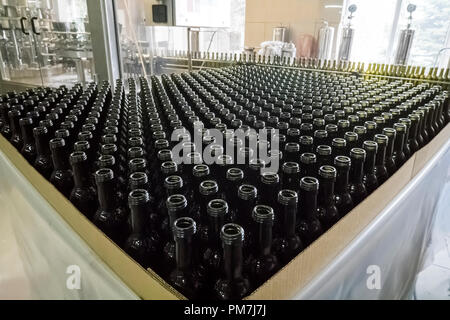 L'imbottigliamento e la tenuta della linea di trasporto alla fabbrica di cantina Foto Stock