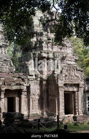 Cambogia; Siem Raep; Angkor; tempio di Ta Prohm Foto Stock