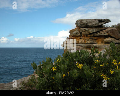 Dunbar Capo: arenaria promontorio che sovrasta l'oceano in corrispondenza del traferro Park, Watsons, Sydney, NSW, Australiacliffs Foto Stock