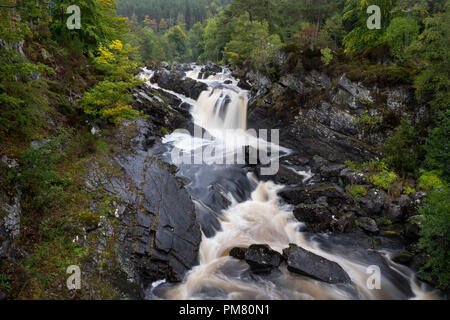 Rogie Falls cascate dove vi è un salto di salmone su l'acqua nera fiume, vicino a Contin, Ross-shire, Highlands scozzesi, Scotland, Regno Unito Foto Stock