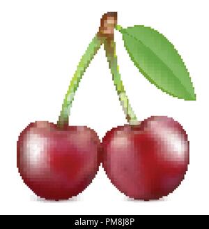 La ciliegia. Frutta dolce. Vettore di set di icone. Illustrazione realistica Illustrazione Vettoriale