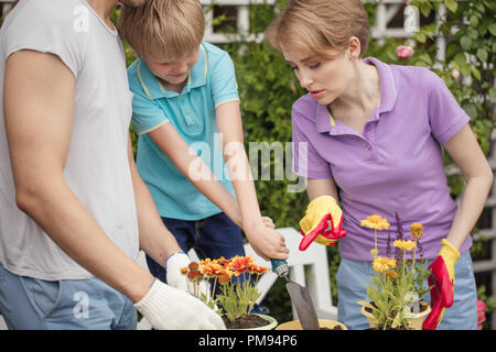 Boy kid aiuta i genitori di piantare fiori in vaso. Il giardinaggio, piantagione concetto. Foto Stock