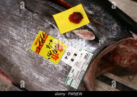 Tokyo, Giappone. 21 feb 2006. Un pezzo di tonno è stata marcata da parte dei commercianti in un'asta presso il mercato del pesce Tsukiji a Tokyo in Giappone, 21 febbraio 2006. Tsukiji è il più grande mercato del pesce nel mondo. Le vendite giornaliere di 2.500 tonnellate di pesce importo a 23 milioni di euro. Credito: Tim Brakemeier | in tutto il mondo di utilizzo/dpa/Alamy Live News Foto Stock