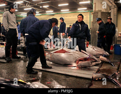 Tokyo, Giappone. 21 feb 2006. Commercianti esaminare tonni durante un'asta al mercato del pesce Tsukiji a Tokyo in Giappone, 21 febbraio 2006. Tsukiji è il più grande mercato del pesce nel mondo. Le vendite giornaliere di 2.500 tonnellate di pesce importo a 23 milioni di euro. Credito: Tim Brakemeier | in tutto il mondo di utilizzo/dpa/Alamy Live News Foto Stock