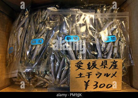 Tokyo, Giappone. 21 feb 2006. Pesci secchi attendono i loro acquirenti al mercato del pesce Tsukiji a Tokyo in Giappone, 21 febbraio 2006. Tsukiji è il più grande mercato del pesce nel mondo. Le vendite giornaliere di 2.500 tonnellate di pesce importo a 23 milioni di euro. Credito: Tim Brakemeier | in tutto il mondo di utilizzo/dpa/Alamy Live News Foto Stock