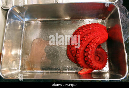 Tokyo, Giappone. 21 feb 2006. Il rosso sgargiante tentacoli di un polipo giacciono in un recipiente in una fase di stallo al mercato del pesce Tsukiji a Tokyo in Giappone, 21 febbraio 2006. Tsukiji è il più grande mercato del pesce nel mondo. Le vendite giornaliere di pesce pari a 2.500 tonnellate con un volume di 23 milioni di euro.Credit: Tim Brakemeier | in tutto il mondo di utilizzo/dpa/Alamy Live News Foto Stock