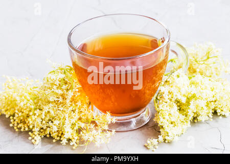 Lâ Elderflower tè, tè sani con lâ Elderflower filiali Foto Stock