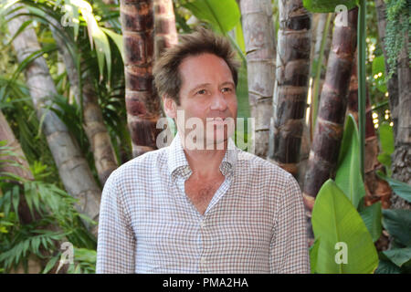 David Duchovny 'fantasma' Portrait Session, 26 febbraio 2013. La riproduzione da parte di American tabloid è assolutamente vietato. Riferimento al file # 31875 016CCR per solo uso editoriale - Tutti i diritti riservati Foto Stock