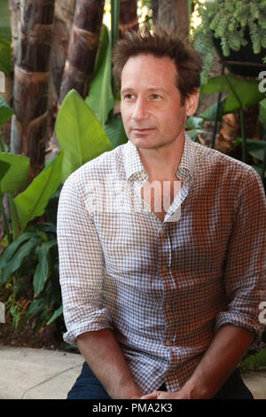 David Duchovny 'fantasma' Portrait Session, 26 febbraio 2013. La riproduzione da parte di American tabloid è assolutamente vietato. Riferimento al file # 31875 026 - CCR per solo uso editoriale - Tutti i diritti riservati Foto Stock