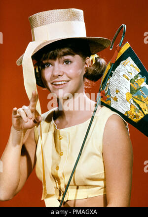 Sally Field, 'Gidget' circa 1965 Riferimento File # 32733 316THA Foto Stock