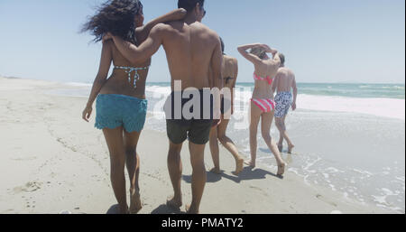 La razza mista giovane gruppo di amici a piedi dall'acqua sulla spiaggia Foto Stock