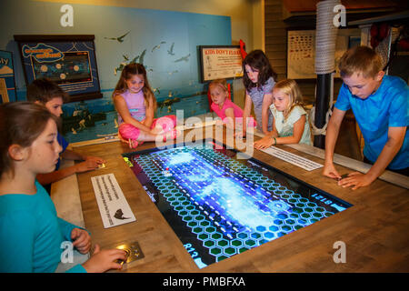 Kids in Alaska SeaLife Centre. Seward, Alaska. Foto Stock