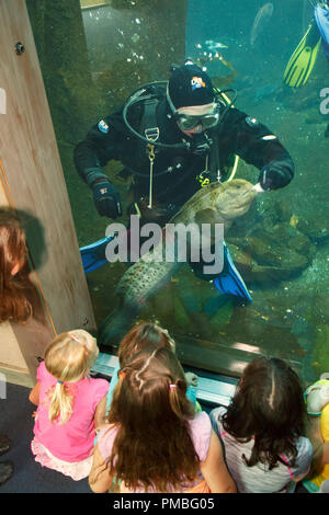 Kids in Alaska SeaLife Centre. Seward, Alaska. Foto Stock