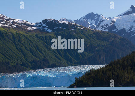 Meares Glacier, Prince William Sound, Chugach National Forest, Alaska. Foto Stock