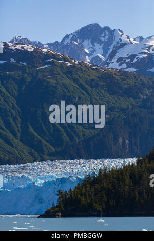 Meares Glacier, Prince William Sound, Chugach National Forest, Alaska. Foto Stock