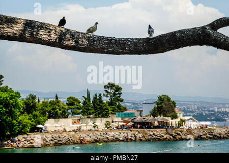 Vista su Opatija sulla riviera croata e le acque turchesi del Mare Adriatico, dall'occhio di un uccello Foto Stock