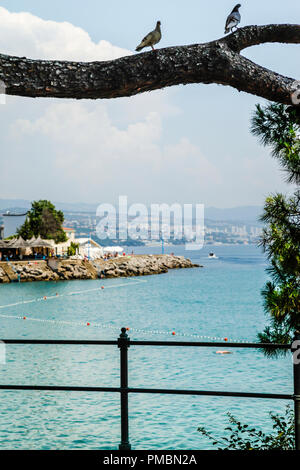 Vista su Opatija sulla riviera croata e le acque turchesi del Mare Adriatico, dall'occhio di un uccello Foto Stock