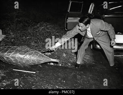 Kevin McCarthy, 'invasione del corpo ladri' 1956 Allied Artists Riferimento File # 33480 798THA Foto Stock
