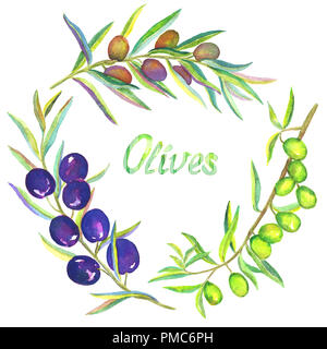 Nero, Oro o biondo verde e rami di olivo con frutti, impostare, isolato dipinte a mano illustrazione ad acquerello Foto Stock