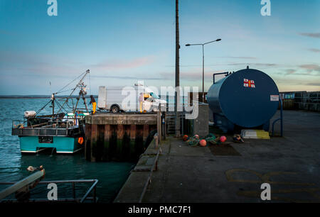 Ballycotton, Cork, Irlanda. Il 24 marzo 2017. Il primo dei ceppi di luce appaiono come equipaggio del peschereccio da traino JUEAST prepararsi a scaricare il suo fermo sul Ballyc Foto Stock