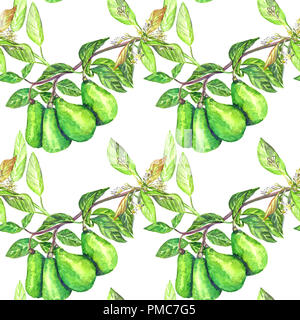 Verde Avocado rami con frutti e fiori, seamless pattern design, dipinte a mano illustrazione ad acquerello Foto Stock