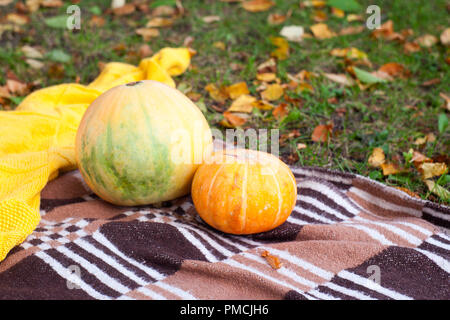 Picnic in un parco d'autunno, due zucche arancione giacciono su un plaid Foto Stock