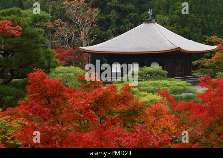 Padiglione di Argento in Kyoto durante la caduta Foto Stock