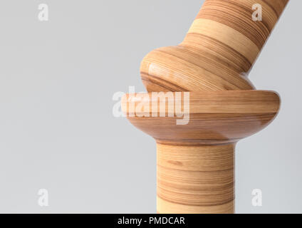 Giunto Condyloid- Joint tipi di ossa in legno guardare - 3D Rendering Foto Stock