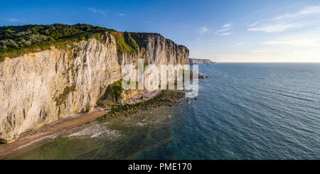 Etretat: scogliere lungo il Normanno area costiera "Cote d'Alabastro", nel Pays de caux, una regione naturale nel nord della Francia (non disponibile per la postcard p Foto Stock