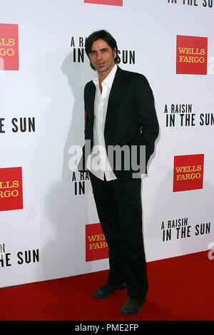 Un uva passa al sole Premiere John Stamos 2-11-2008 / AMC Magic Johnson Teatro / Los Angeles, CA / Sony Pictures Television / © Giuseppe Martinez/Picturelux - Tutti i diritti riservati Riferimento File # 23348 0017PLX per solo uso editoriale - Tutti i diritti riservati Foto Stock