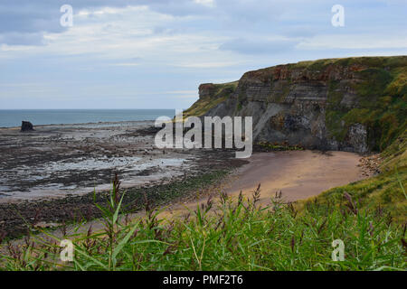 Nero al NAB Saltwick Bay, North Yorkshire Moors, England Regno Unito Foto Stock