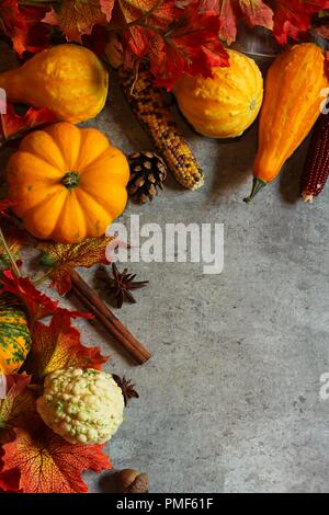 Autunno Autunno composizione con zucche zucche foglie di acero su sfondo rustico, spazio di copia Foto Stock