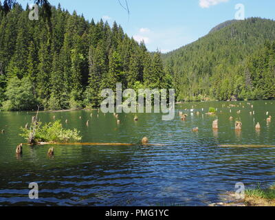 Il lago rosso lacu rosu in Romania Foto Stock