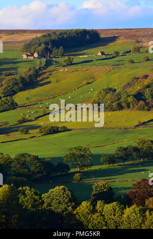 Vista su Rosedale Abbey, North Yorkshire Moors, England Regno Unito Foto Stock