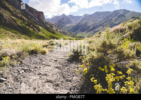 La sporcizia sentiero escursionistico in McGee Creek nei pressi di Mammoth Lakes in California la Sierra orientale Foto Stock