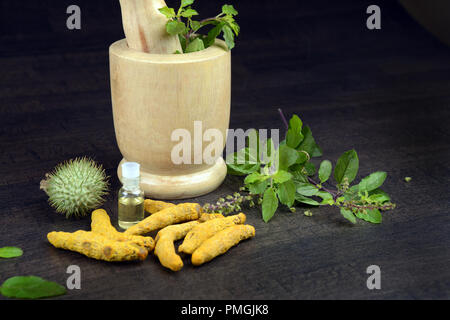 Basilico santo, curcuma, Datura frutta con olio a base di erbe e di mortaio di legno su sfondo scuro, un concetto di Ayurveda Foto Stock