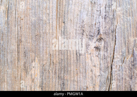 Chiudere la vista della superficie di un weathered driftwood scheda con diverse crepe. Foto Stock