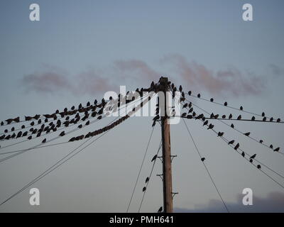 Sheerness, Kent, Regno Unito. Xviii Sep, 2018. Regno Unito Meteo: un tramonto dorato in Sheerness, Kent. Credito: James Bell/Alamy Live News Foto Stock