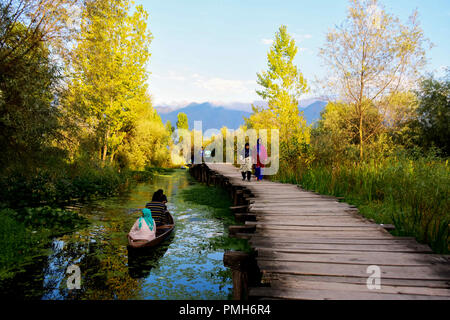 7 settembre 2018 - Immagini di vita quotidiana attorno le vedute panoramiche del dal Lago situato a Srinagar, la capitale estiva dello stato indiano del Jammu e Kashmir. La Dal lago che è denominata il gioiello nella corona del Kashmir'' è un visitatore di attrazione e di un villaggio turistico. Il lago è una fonte importante della pesca nonché la raccolta di cibo e di piante foraggere. L'area dispone di numerosi siti e luoghi di interesse tra cui importante patrimonio culturale siti. Indiano Kashmir amministrato viene contestata una terra tra India e Pakistan e Cina che ha portato a conflitti tra il conteggio Foto Stock