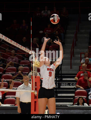 Settembre 18, 2018 Western Kentucky Hilltoppers Taylor Bebout (9) imposta la sfera nella partita tra i Cincinnati Bearcats e la Western Kentucky Hilltoppers al E.A. Farlo Arena a Bowling Green, KY. Fotografo: Steve Roberts. Foto Stock