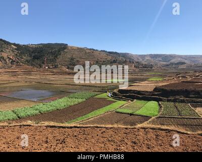 Masiniloharano, Madagascar. 25 Ago, 2018. I campi di riso e la luce verde letti vegetale giacente maggese nei pressi del villaggio di Masiniloharano negli altopiani centrali del Madagascar. Durante la fase 'Famadihana' (letteralmente: ruotando le ossa) cerimonia, persone in Madagascar il culto delle ossa dei loro antenati. Essi sono presi dalle loro tombe soprattutto per la grande festa. (A dpa 'Dance con i morti: Happy Corpse Festival in Madagascar' dal 19.09.2018) Credito: Jürgen Bätz/dpa/Alamy Live News Foto Stock