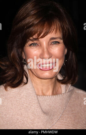 Anne Archer 20/09/10 'attesa per 'Superman'' Los Angeles Premiere @ Paramount Theatre, Hollywood Foto di Izumi Hasegawa/HNW /PictureLux Riferimento File # 30480 018HNW per solo uso editoriale - Tutti i diritti riservati Foto Stock