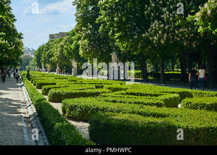 Cespugli di bosso hedge a zig zag in forma pubblica europea di park (Topiaria da) Foto Stock