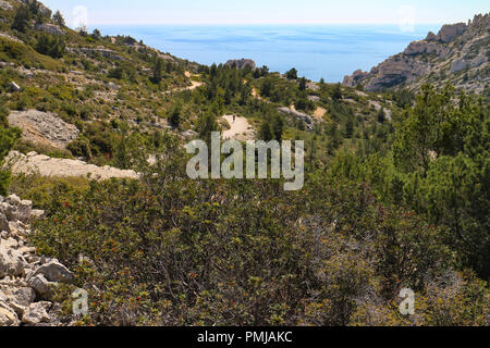 Università Luminy un campus in mezzo calanques Foto Stock