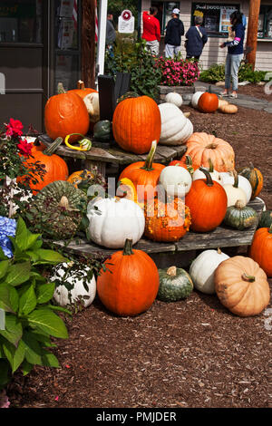 New Hampshire, Meridith, Moulton Farm, giardino, fattorie, verdura, fiori, piante, zucche, squash, farmstand, farm stand, Foto Stock